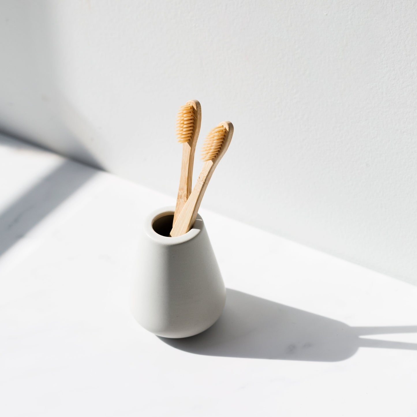 Brosse à dent en bambou, adulte