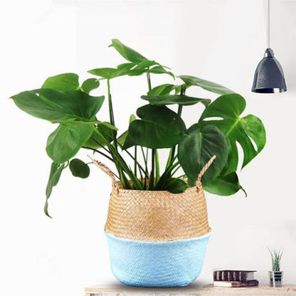 Cache-pot/panier en bambou