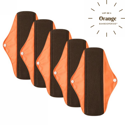 Lot de 5 serviettes hygiéniques lavables "Bambooperiod™"