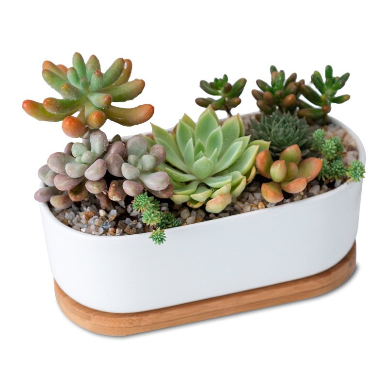 Cache-pot "Alexane" en céramique