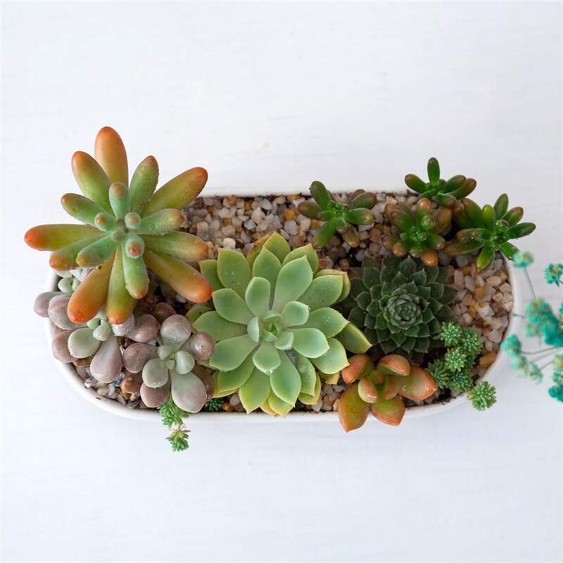 Cache-pot "Alexane" en céramique