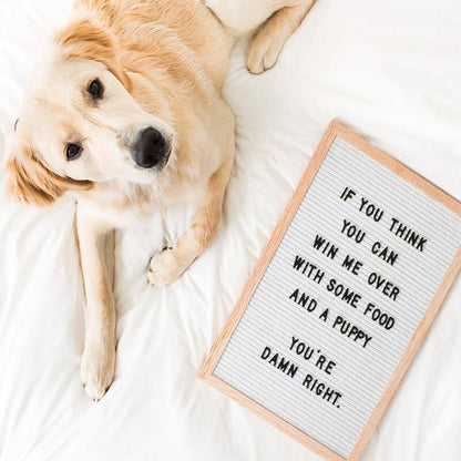 Letter board, panneau personnalisable