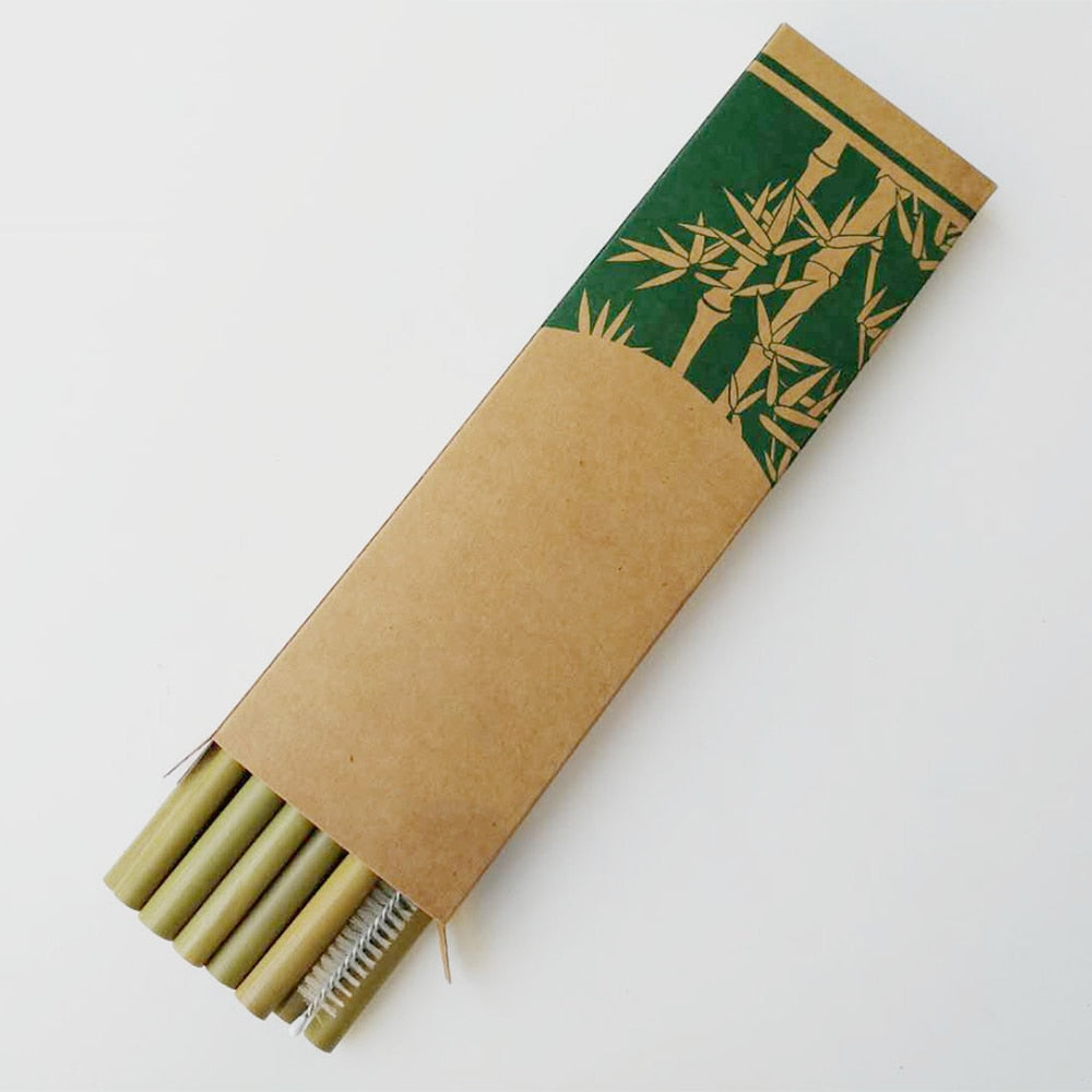Lot de 10 pailles en bambou naturel, réutilisables