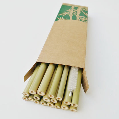 Lot de 10 pailles en bambou naturel, réutilisables
