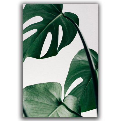 Toile "Botanique"
