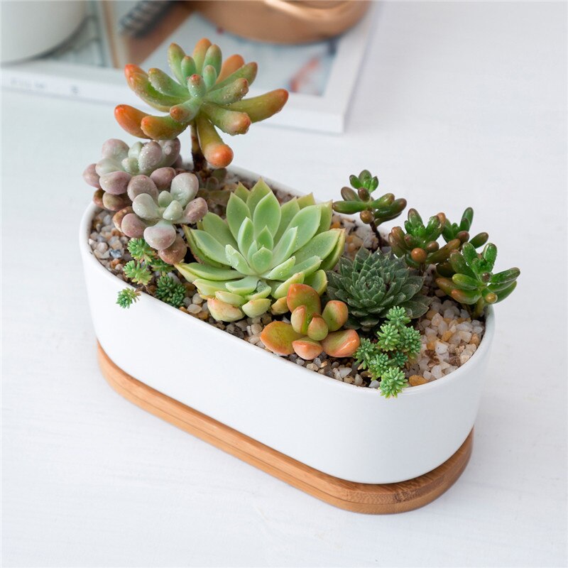 Cache-pot "Alexane" en céramique