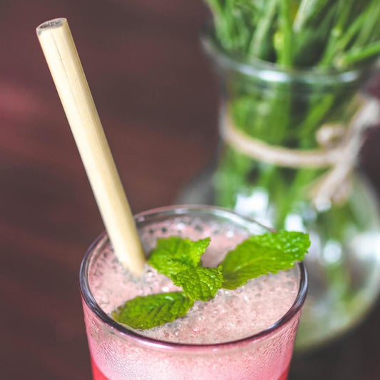 Lot de 10 pailles en bambou naturel, réutilisables